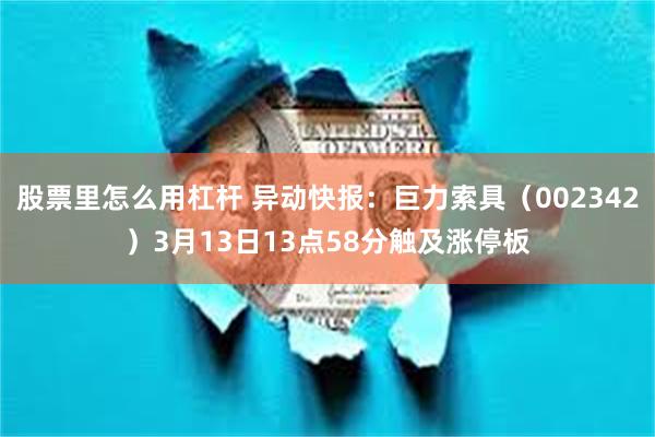 股票里怎么用杠杆 异动快报：巨力索具（002342）3月13日13点58分触及涨停板