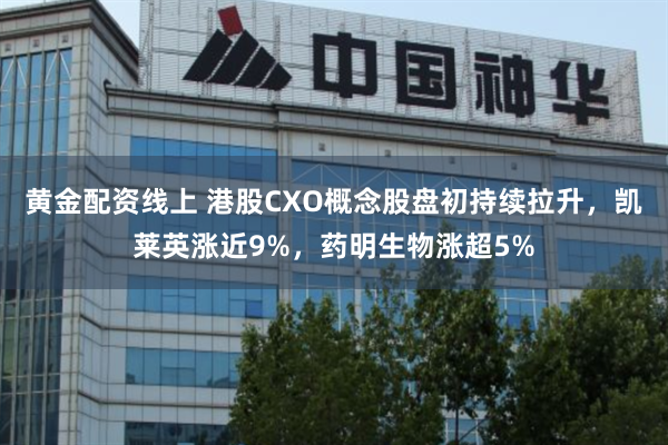 黄金配资线上 港股CXO概念股盘初持续拉升，凯莱英涨近9%，药明生物涨超5%